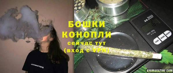 шишки Михайлов