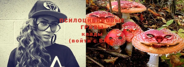 мет Михайловск