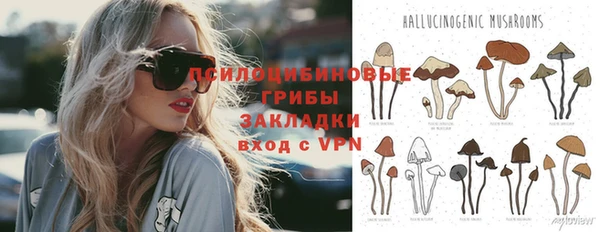 шишки Михайлов