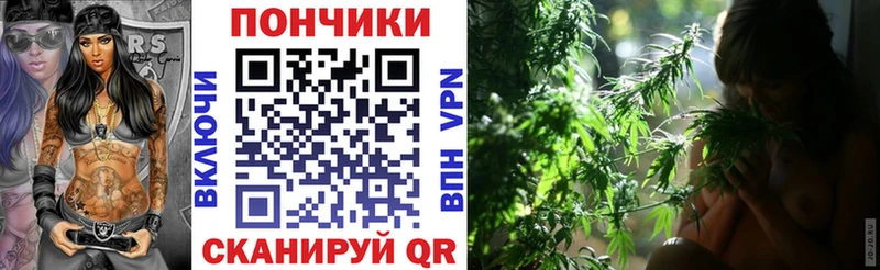 Каннабис план Новосиль
